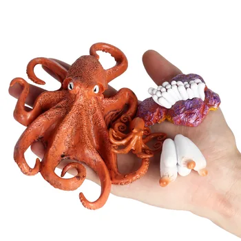 Semeno Octopus Model Pre Simuláciu Zvierat A Rastlín, Rast Proces PVC Zvieratá, Akčné Figúrky, Hračky detské Vianočné Darčeky
