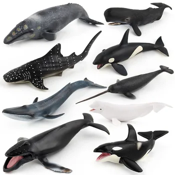 Simulácia Žralok Veľrybí Zvierat Obrázok Hračky Tichom Zvierat Beluga spermie veľryba Poznanie Deti Pevné Plastové Cementu Hračky Darček