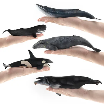 Simulácia Žralok Veľrybí Zvierat Obrázok Hračky Tichom Zvierat Beluga spermie veľryba Poznanie Deti Pevné Plastové Cementu Hračky Darček