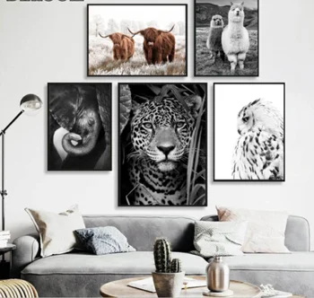 TigerJaguar Krava Roztomilý Alpaky Zvierat Plagát a Vytlačí Čiernej na Bielu Stenu Umenie Škôlky Plátno na Maľovanie Obrázkov na Obývacia Izba Domov