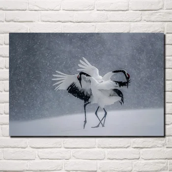 V zime sneh vtákov tanec Japonsko žeriavy zvierat JZK154 obývacia izba domov steny moderného umenia dekor drevo rám plagát