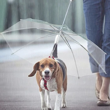 Vysoká Kvalita Pet Dáždnik Transparentné Psa Dáždnik s Vodítku Montáž pre Dážď Sneh Ochranu Psa Dodávky