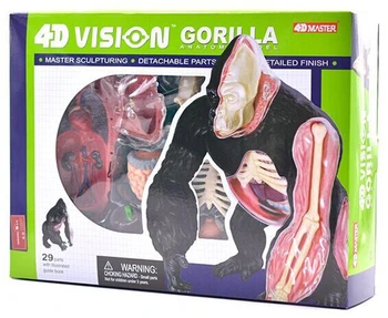 Vzdelávacie Dizajnér Hračky 4D Lesné Zvieratá Puzzle Master DIY Anatomický model pre Deti mkd3 Striebro späť opíc gorila