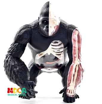 Vzdelávacie Dizajnér Hračky 4D Lesné Zvieratá Puzzle Master DIY Anatomický model pre Deti mkd3 Striebro späť opíc gorila