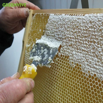 Včelárstvo nástroj ohýbať ihly Uncapping Vidlica pre Beeekeeper
