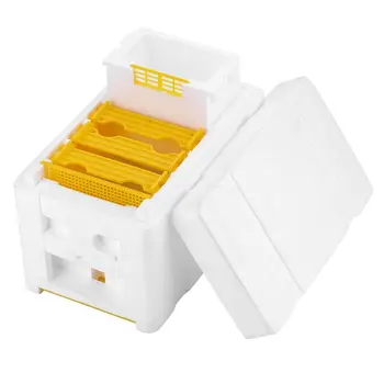 Včelí Úľ Včelárskych Kráľ Box Opeľovanie Box Pena Rámy Včelárskych Tool Kit