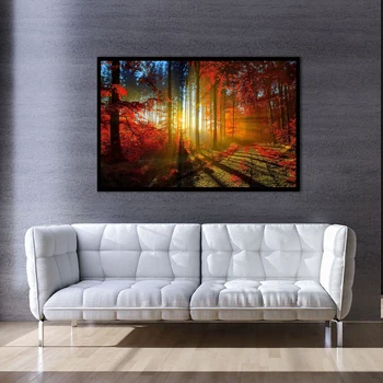 XX3020 moderné dekoratívne plátno umenie krásny Javorový les svitu scenérie krajiny plátno obrázky olej, umelecké maľovanie na doma