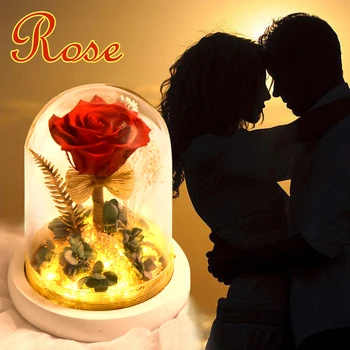Červená Večná Ruža V Sklenenou Kupolou LED Svetlo Konzervované Kvety, Rastliny so Svetlami, stolná Lampa Nový Rok Darčeky pre Svadobné Party