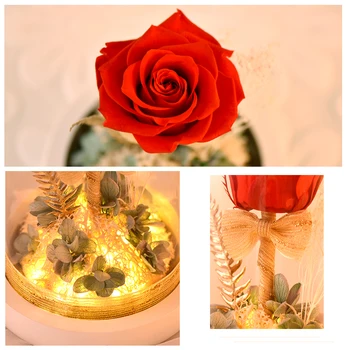Červená Večná Ruža V Sklenenou Kupolou LED Svetlo Konzervované Kvety, Rastliny so Svetlami, stolná Lampa Nový Rok Darčeky pre Svadobné Party